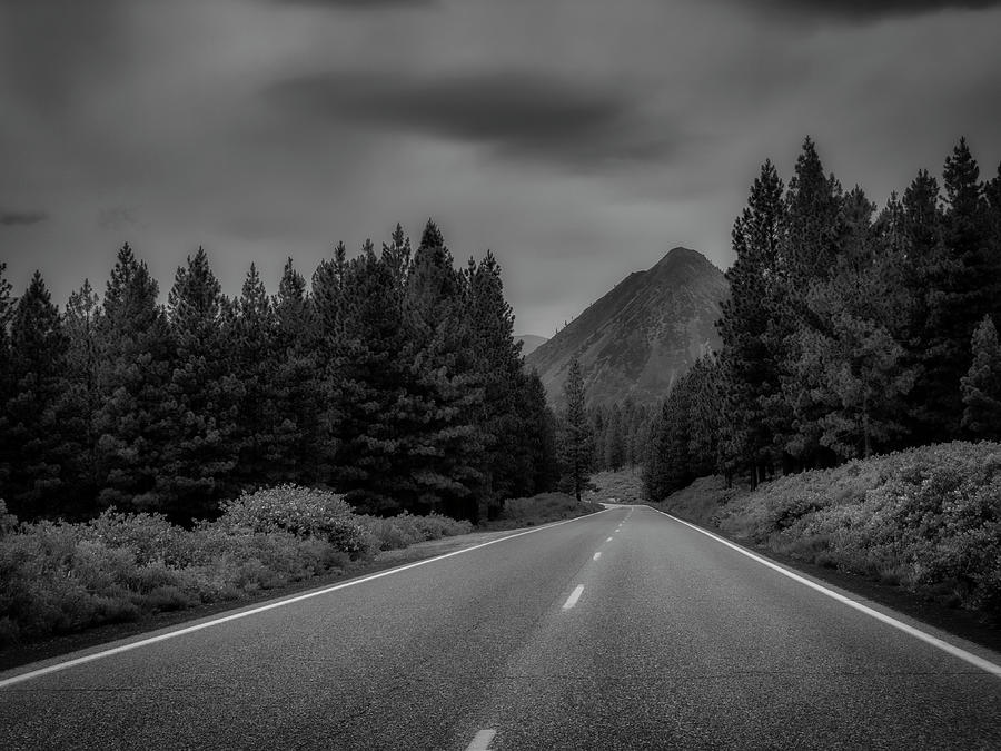 The Road to Black Butte Photograph by Mark David Gerson