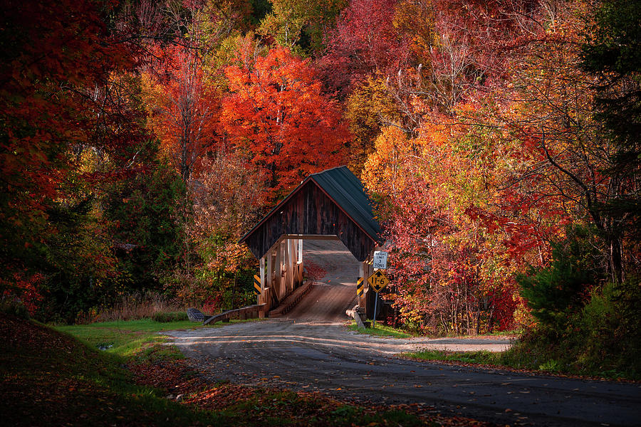 The Road to Greenbank Hollow Covered Bridge Photograph by Tim Kirchoff