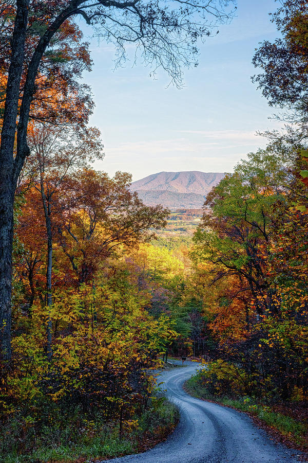 The Road to the Blue Ridge Photograph by Lara Ellis