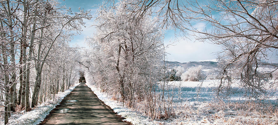 The Road to Winter 2 Photograph by JoAnn Silva