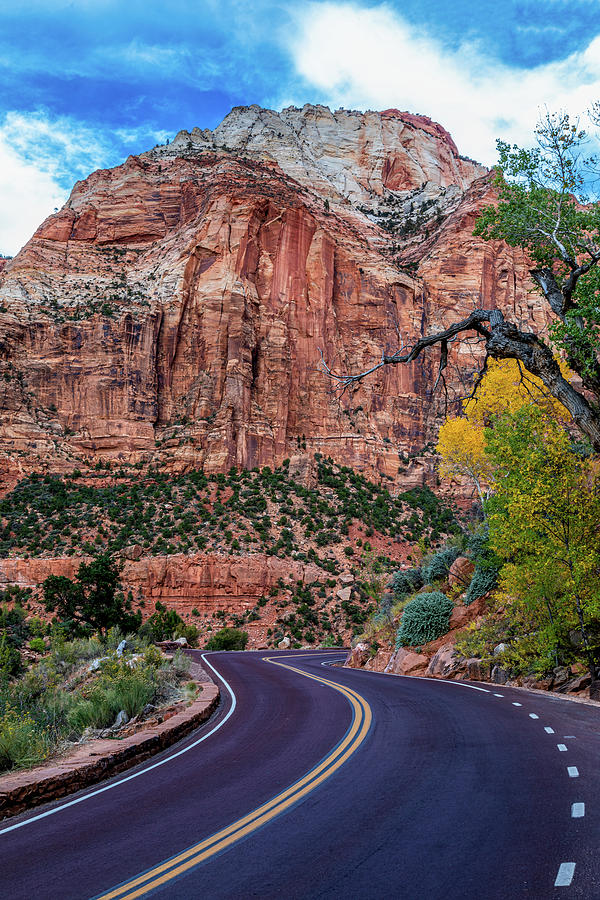 The Road to Zion Photograph by Peter Tellone