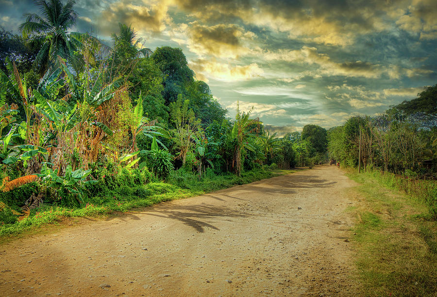 The road toward Barranca Photograph by Micah Offman
