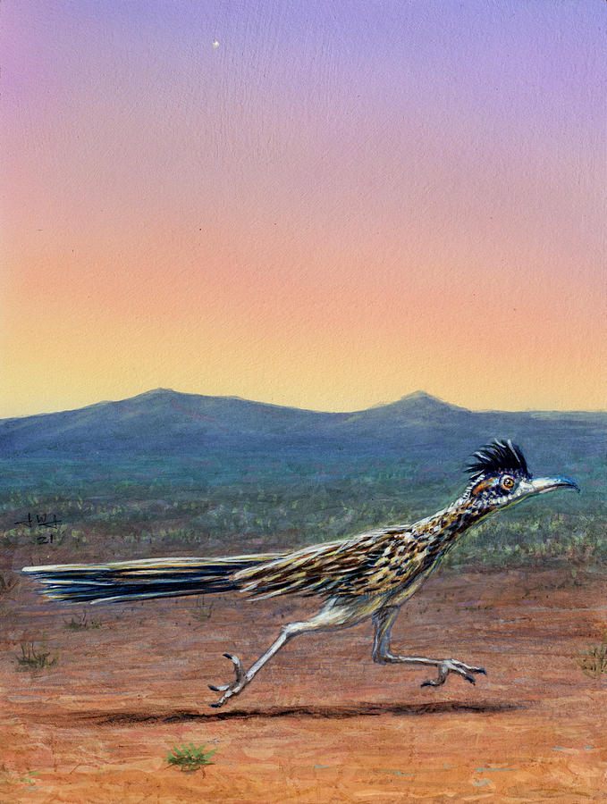 The Roadrunner Painting by James W Johnson