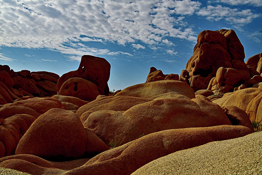 The Rocks - Joshua Tree National Park, USA Photograph by Amazing Action Photo Video