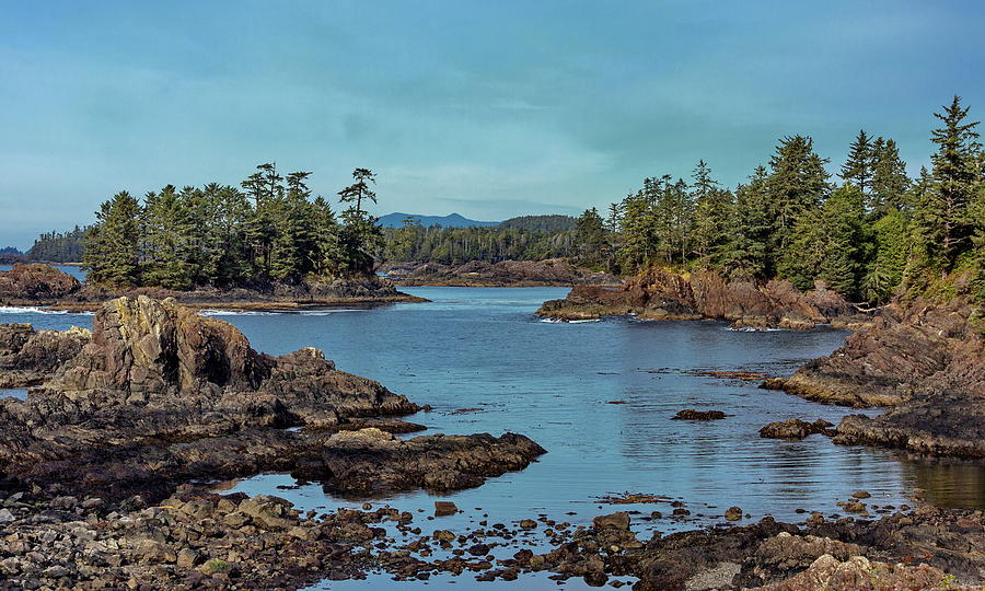 The rocky shores of Ucluelet Photograph by Alex Lyubar
