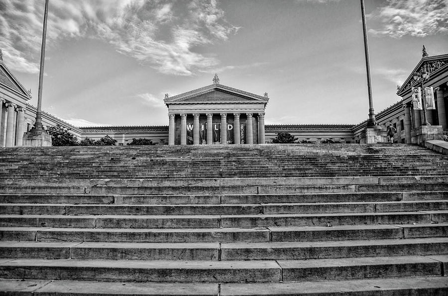 The Rocky Steps - Philadelphia in Black and White Photograph by Bill Cannon