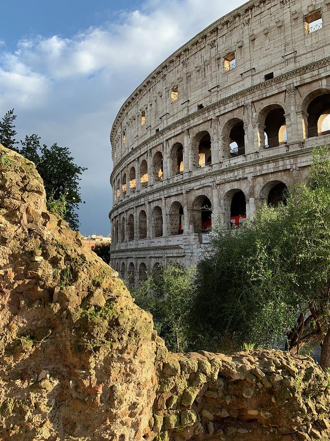 The Roman Colosseum Photograph by Flat Owl Photo The Roman Colosseum Photograph by Flat Owl Photo