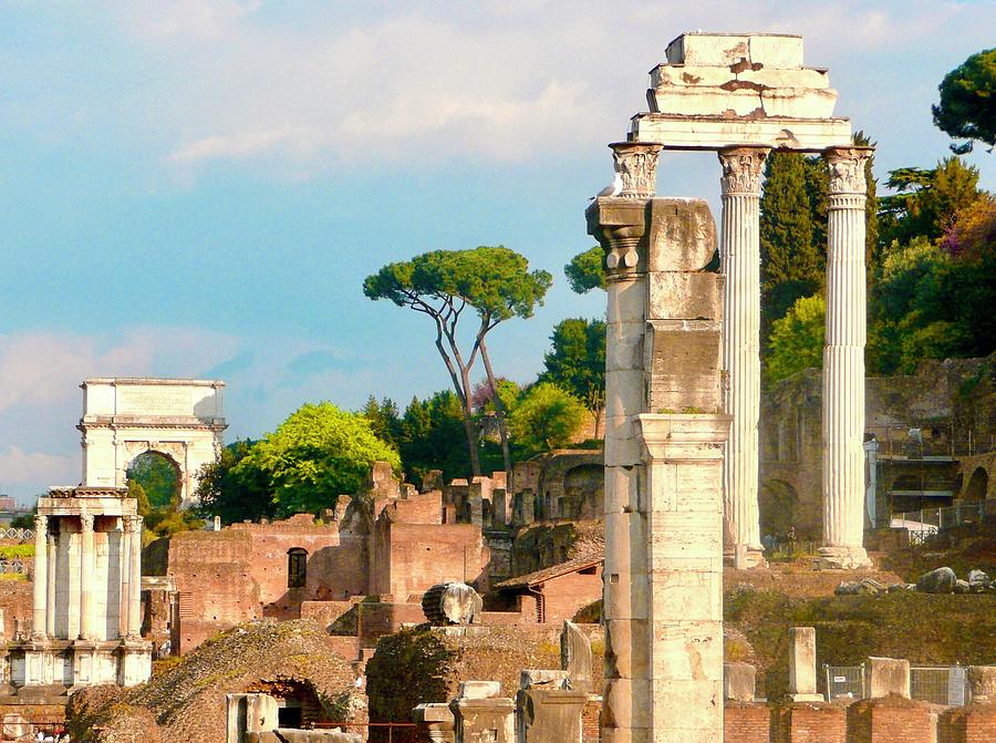 The Roman Forum Photograph by Joy Buckels