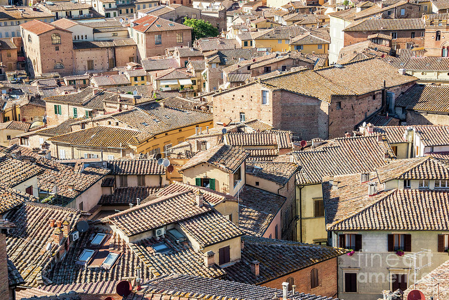 The roofs of Siena Photograph by Delphimages Photo Creations