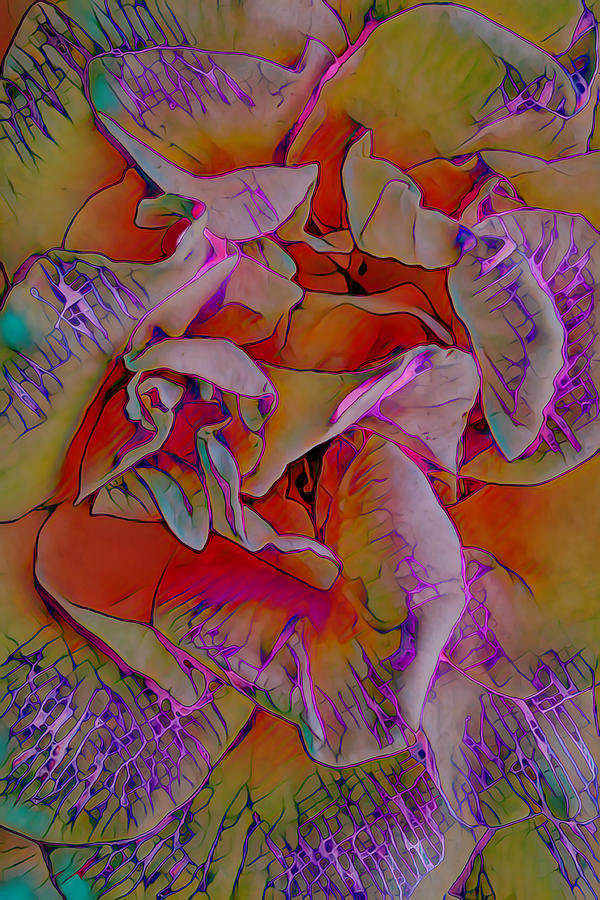 The Rose Abstract 1 Digital Art