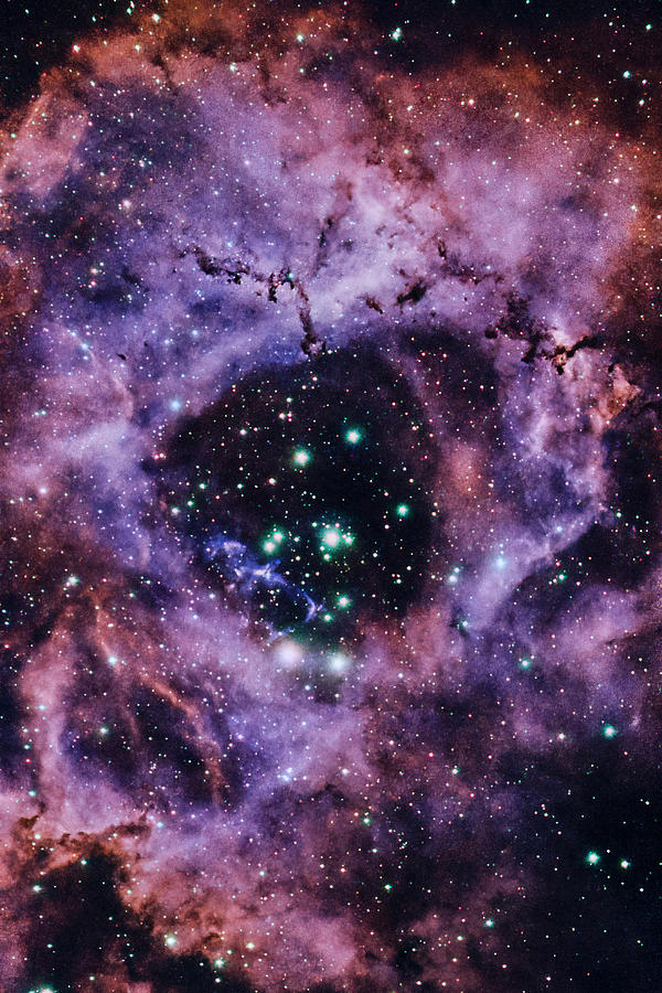 The Rosette Nebula - 11/17/2023 Photograph by Rich Kovach