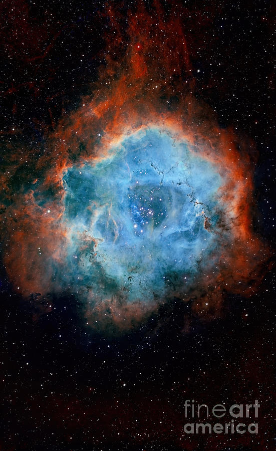 The Rosette or Skull Nebula in SHO Palette Photograph by Richard Whitehead