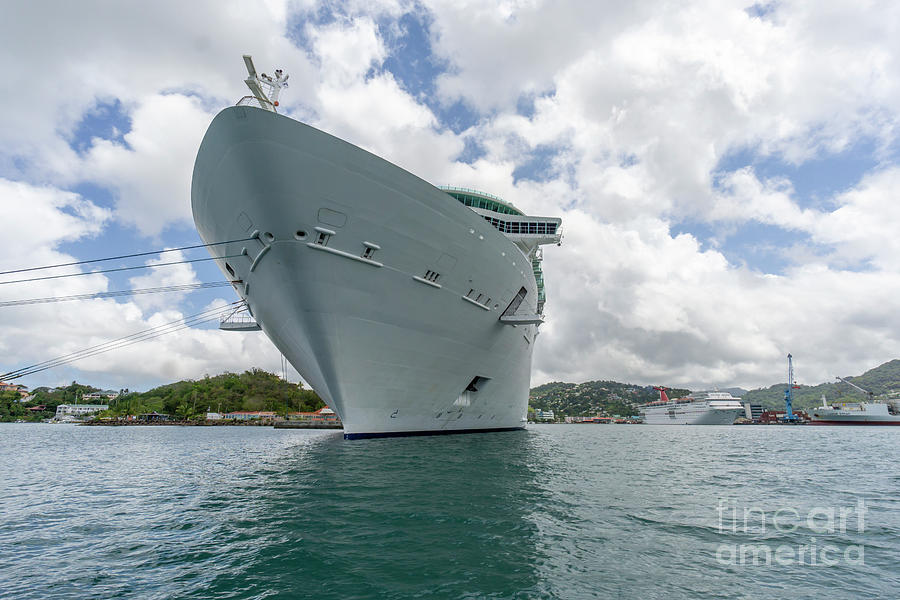 The Royal Caribbean Freedom of the Seas cruise ship moored at Po Photograph by William Kuta