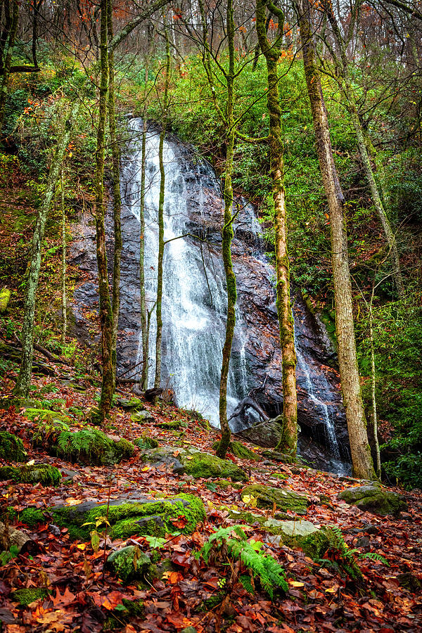 The Rufus Morgan Waterfall Photograph by Debra and Dave Vanderlaan