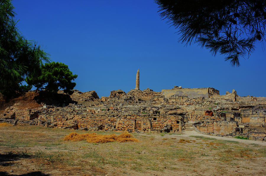 The Ruins of Kolona on Aegina by Cassi Moghan The Ruins of Kolona on Aegina by Cassi Moghan
