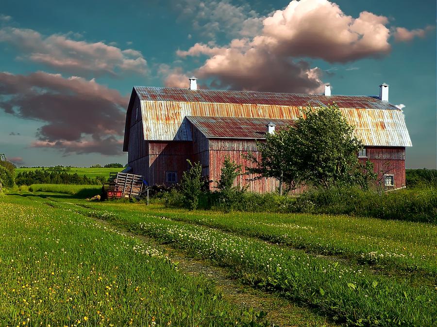 The rusted roof barn Photograph by Louise Lavallee - Pixels