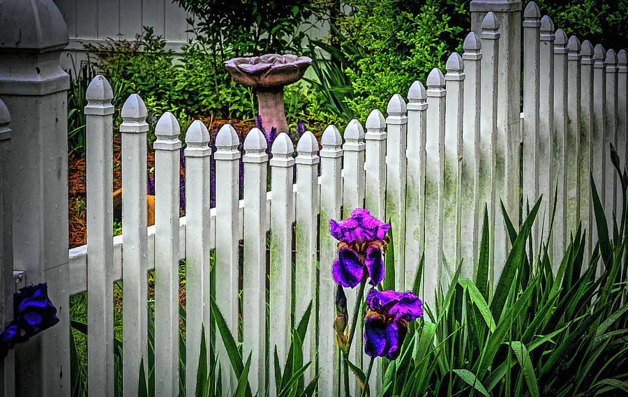 The Rustic  Picket Fence Digital Art by Ed Stines