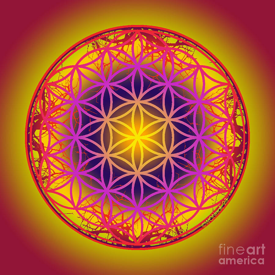 Flower Digital Art - The Sacred Flower of Life, No. 1 of 10 by Walter Neal