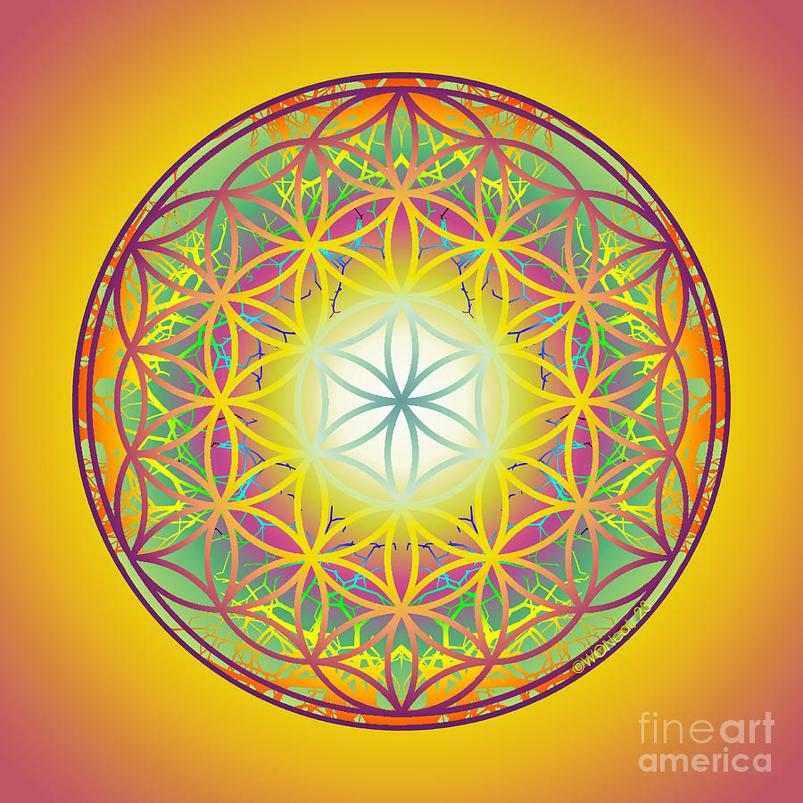 Flower Digital Art - The Sacred Flower of Life, No. 10 of 10 by Walter Neal