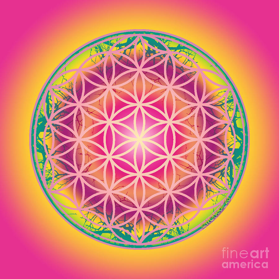 Flower Digital Art - The Sacred Flower of Life, No. 4 0f 10 by Walter Neal