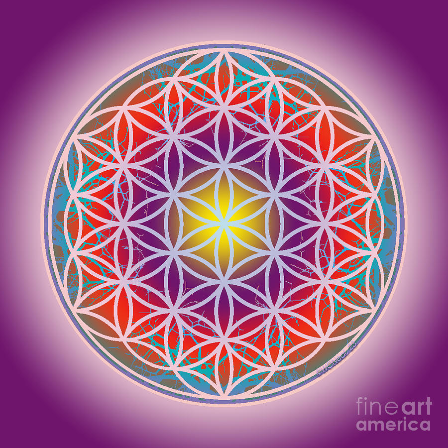 The Sacred Flower of Life, No. 6 of 10 Digital Art by Walter Neal - Pixels