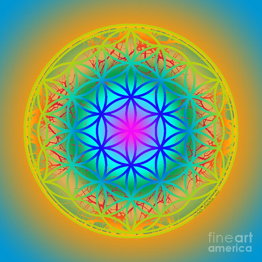 The Sacred Flower Of Life No 9 Of 10 Digital Art By Walter Neal Fine Art America 6776