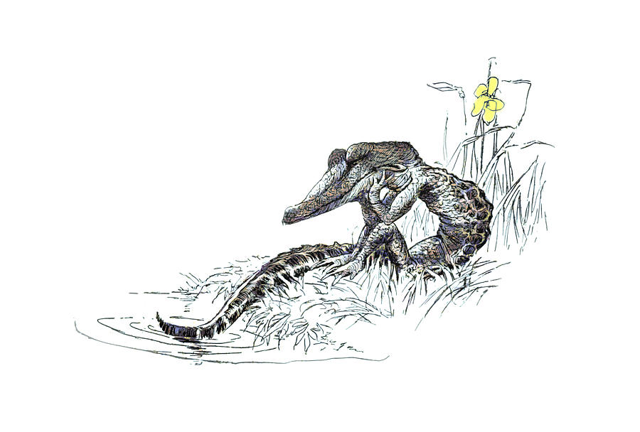 The Sad Alligator Digital Art by Steve Taylor