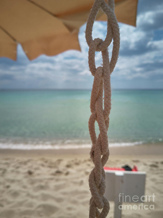 The Sailor's Knot Photograph By Filippo Carlot - Fine Art America