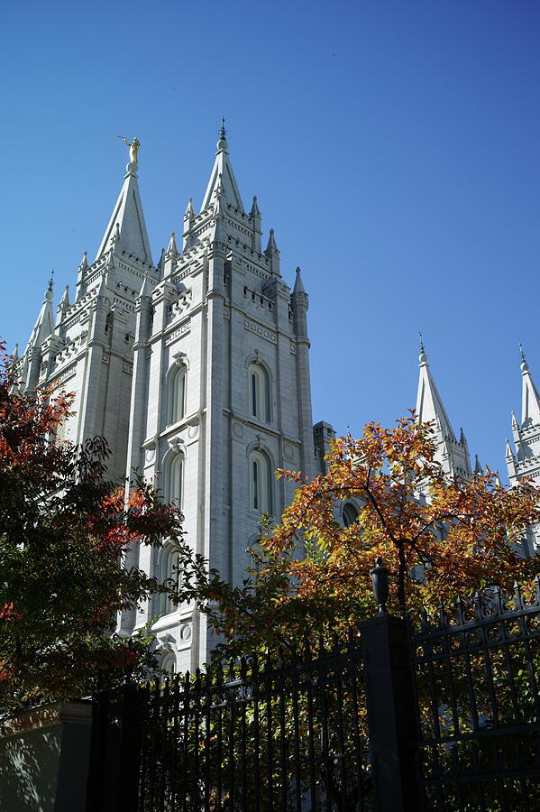 The Salt Lake Temple  Photograph by Lawrence Christopher