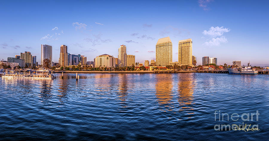 The San Diego Skyline Photograph by David Levin