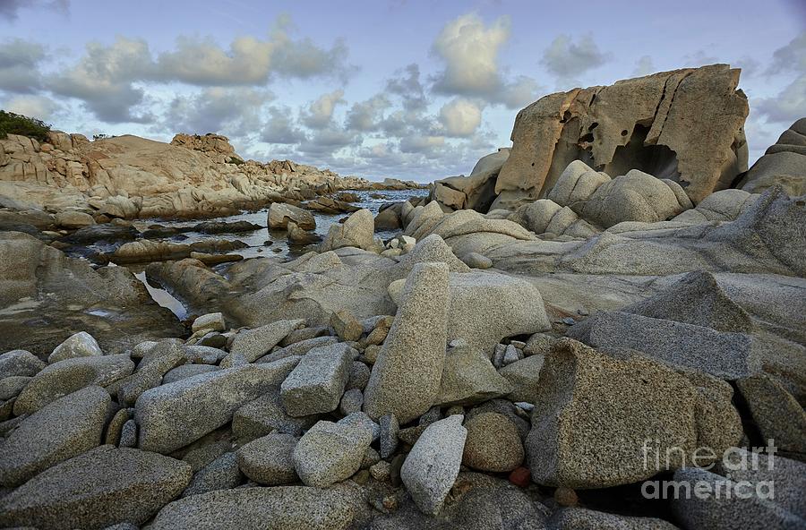 The Sculptures Of The Sea Photograph By Filippo Carlot - Fine Art America