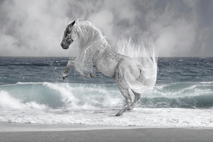 The Sea Horse Digital Art
