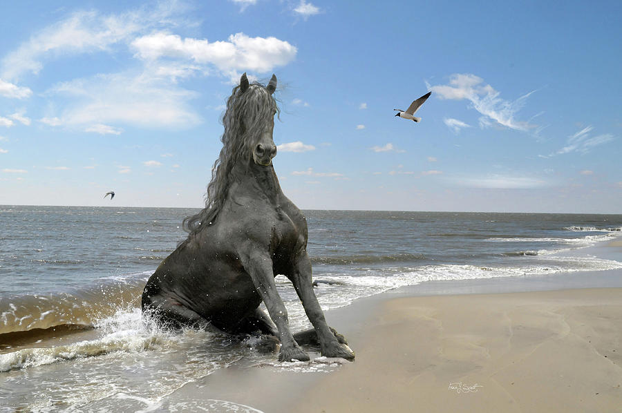 The Sea Horse Mixed Media by Fran J Scott