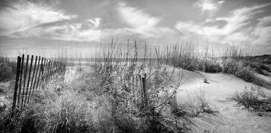 The Seashore Dunes in Black and White Photograph by Debra and Dave Vanderlaan