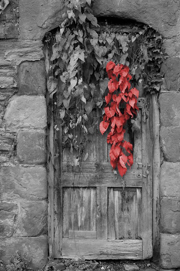 The Secret Door Digital Art by Christine Lake - Fine Art America