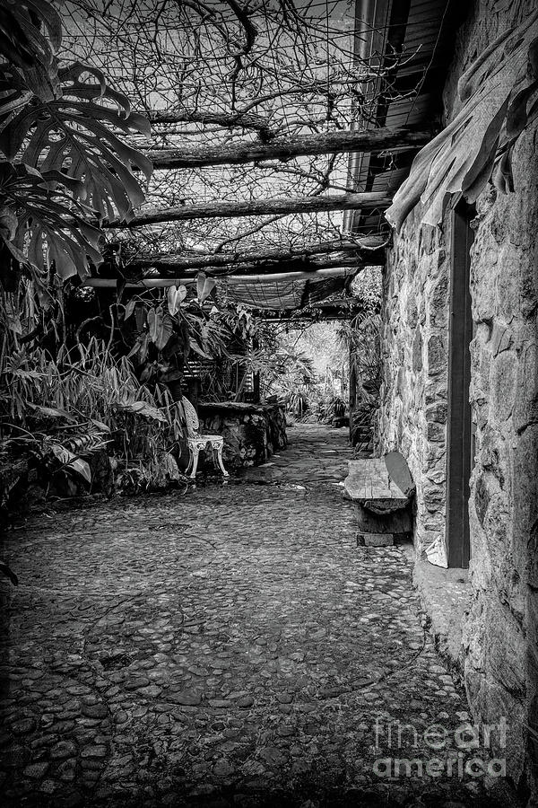 The Secret Garden 2 Photograph by Elaine Teague
