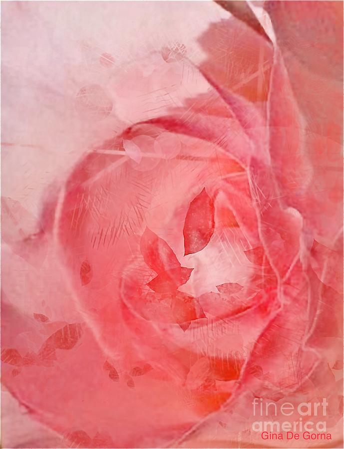 The Sense of Rose Digital Art by Gina De Gorna