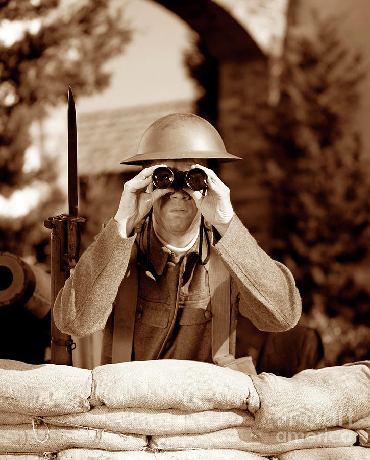 Binocular Photograph - The Sentry by Arni Katz