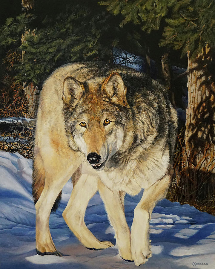 The Sentry - Timber Wolf Painting by Laara Cassells - Fine Art America