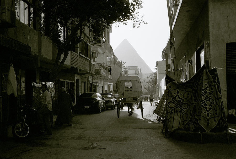 The Serene Streets Of Giza Photograph by Shaun Higson