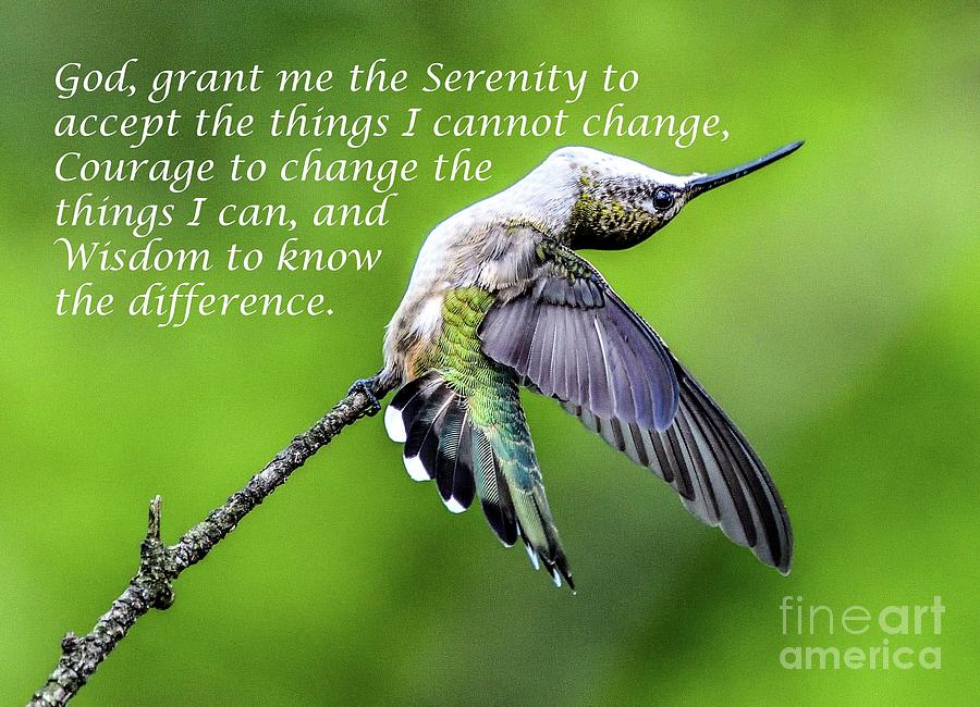 The Serenity Prayer and My Favorite Hummingbird Photo Photograph by Cindy Treger