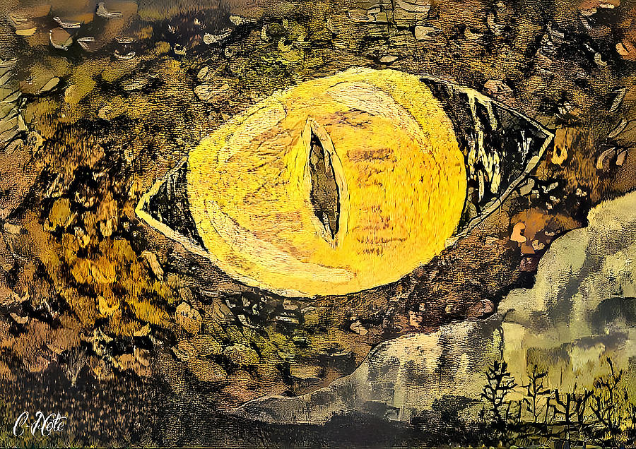 The serpents eye Mixed Media by Frederick Cook