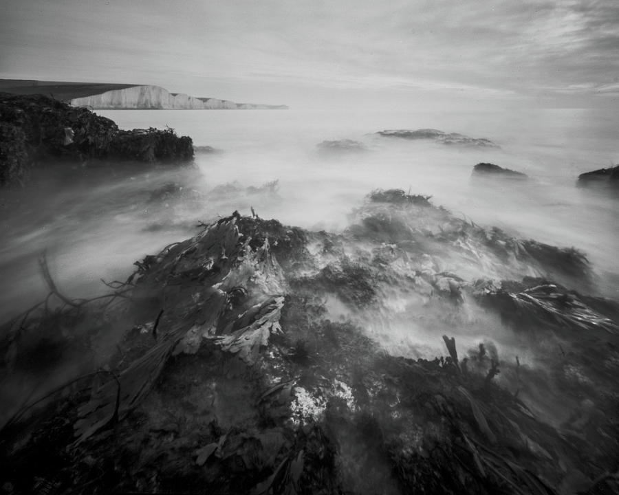 The Seven sisters, low tide Photograph by Will Gudgeon