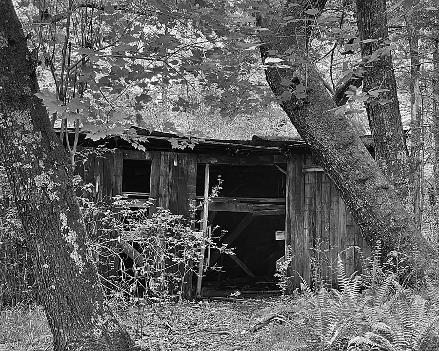The Shack BW Photograph by Lee Darnell