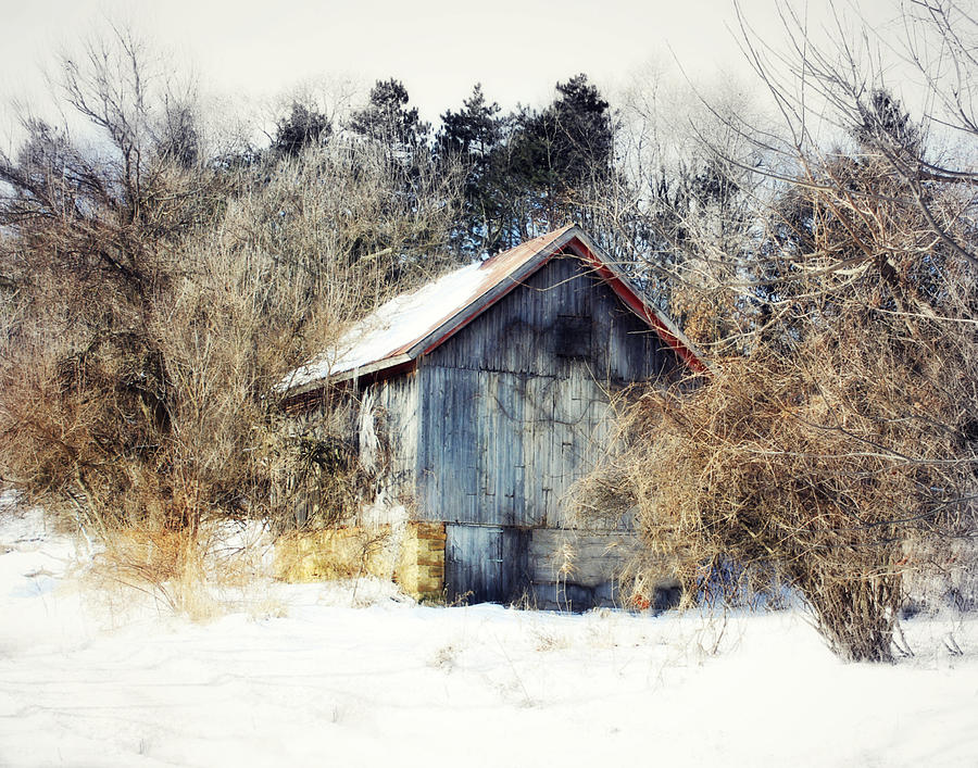The Shack Photograph