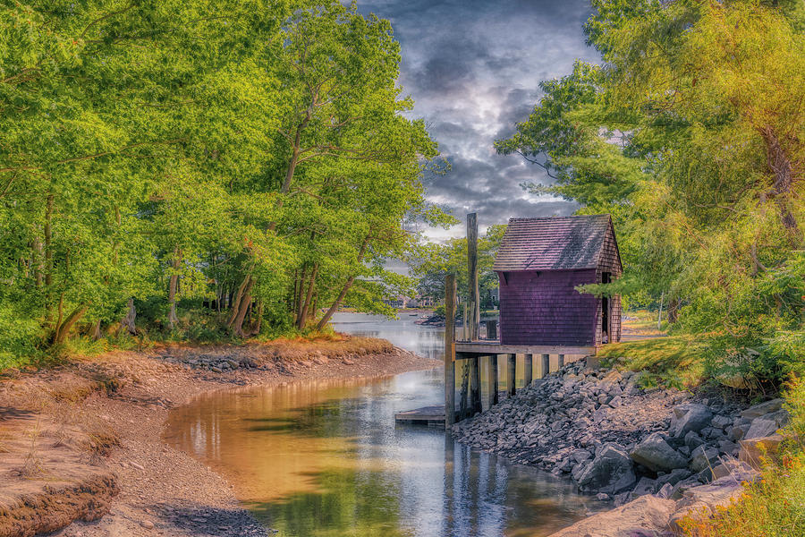 The Shack on Paddy Creek Photograph by Penny Polakoff