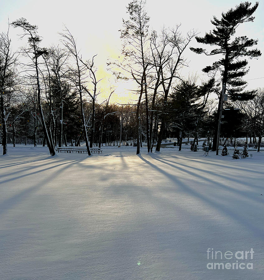 The Shadows of Winter Photograph by Frances Ferland
