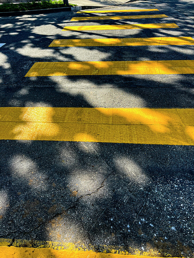 The Shadowy Crosswalk Photograph by Craig Brewer