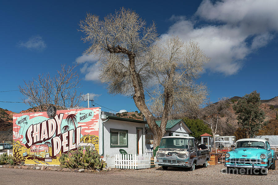 The Shady Dell Vintage RV Park Photograph by Priscilla Burgers