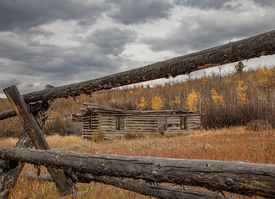 The Shane Cabin, Wyoming Photograph by Marcy Wielfaert